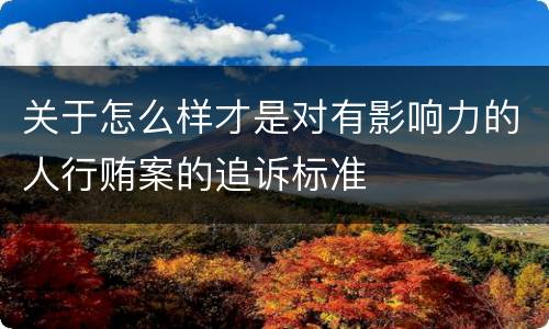 关于怎么样才是对有影响力的人行贿案的追诉标准