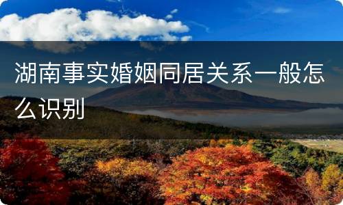 湖南事实婚姻同居关系一般怎么识别