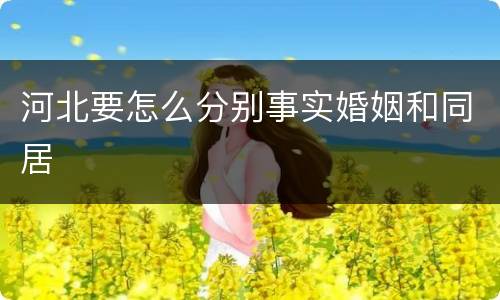 河北要怎么分别事实婚姻和同居