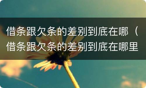 借条跟欠条的差别到底在哪（借条跟欠条的差别到底在哪里）