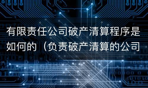 有限责任公司破产清算程序是如何的（负责破产清算的公司）