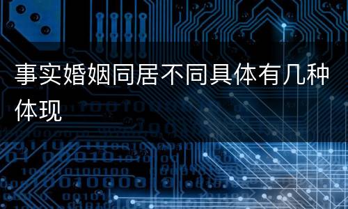 事实婚姻同居不同具体有几种体现