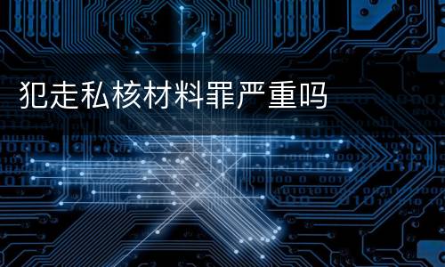 犯走私核材料罪严重吗