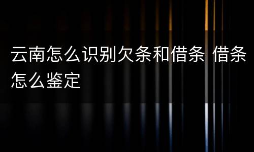 云南怎么识别欠条和借条 借条怎么鉴定