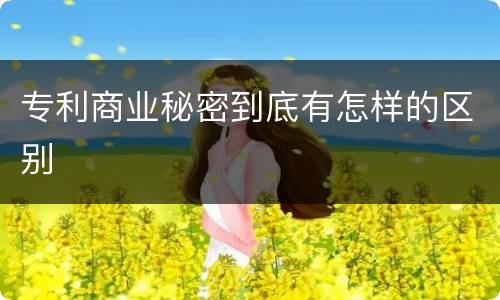 专利商业秘密到底有怎样的区别