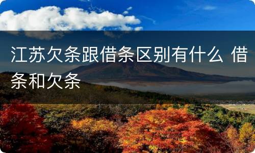 江苏欠条跟借条区别有什么 借条和欠条