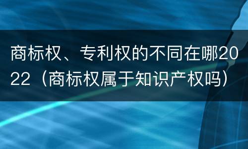 商标权、专利权的不同在哪2022（商标权属于知识产权吗）