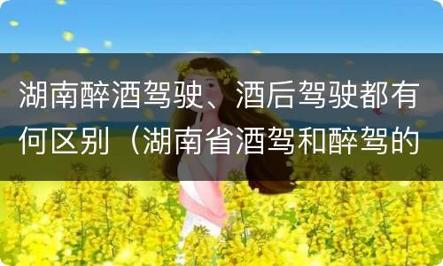 湖南醉酒驾驶、酒后驾驶都有何区别（湖南省酒驾和醉驾的酒精度标准）