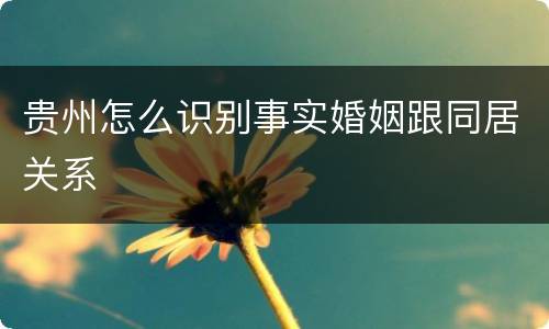 贵州怎么识别事实婚姻跟同居关系