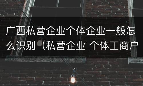 广西私营企业个体企业一般怎么识别（私营企业 个体工商户）