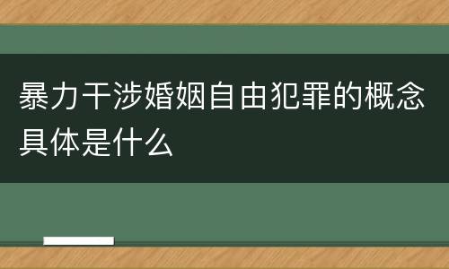 暴力干涉婚姻自由犯罪的概念具体是什么