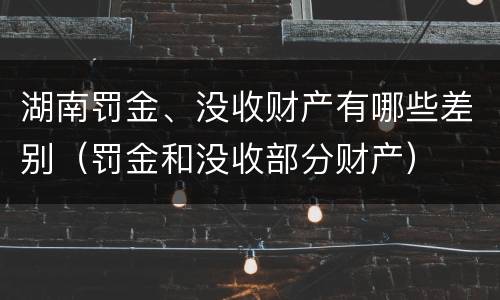 湖南罚金、没收财产有哪些差别（罚金和没收部分财产）