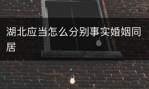 湖北应当怎么分别事实婚姻同居