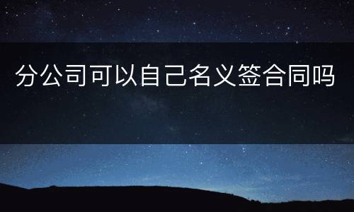 分公司可以自己名义签合同吗