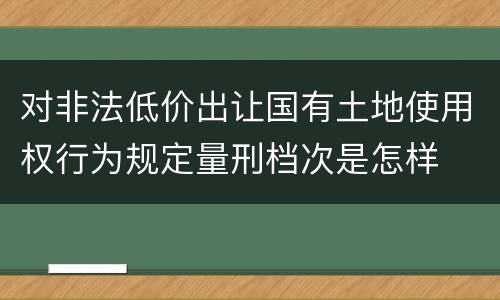 对非法低价出让国有土地使用权行为规定量刑档次是怎样
