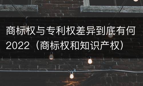 商标权与专利权差异到底有何2022（商标权和知识产权）