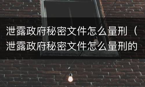 泄露政府秘密文件怎么量刑（泄露政府秘密文件怎么量刑的）