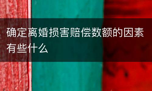 确定离婚损害赔偿数额的因素有些什么