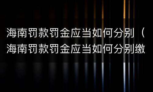 海南罚款罚金应当如何分别（海南罚款罚金应当如何分别缴纳）
