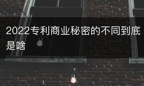 2022专利商业秘密的不同到底是啥