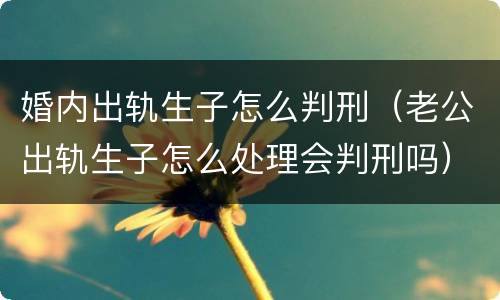 婚内出轨生子怎么判刑（老公出轨生子怎么处理会判刑吗）