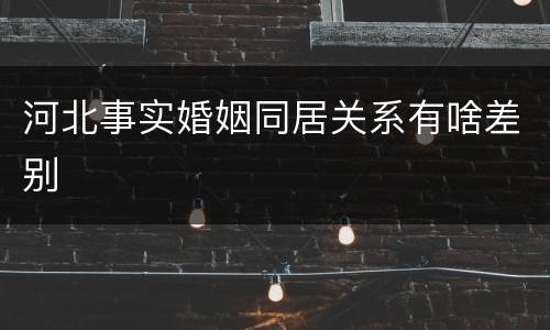 河北事实婚姻同居关系有啥差别