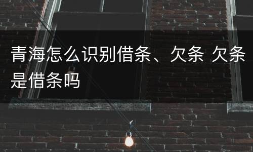 青海怎么识别借条、欠条 欠条是借条吗