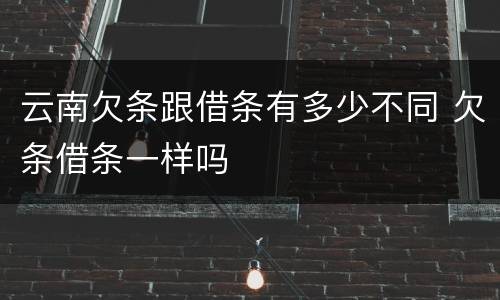 云南欠条跟借条有多少不同 欠条借条一样吗