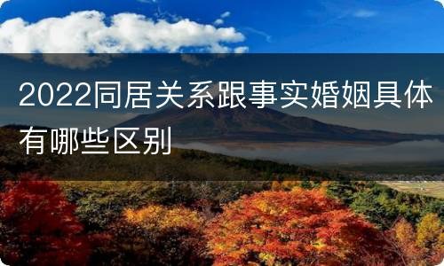 2022同居关系跟事实婚姻具体有哪些区别