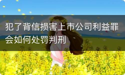 犯了背信损害上市公司利益罪会如何处罚判刑