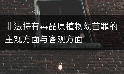 非法持有毒品原植物幼苗罪的主观方面与客观方面
