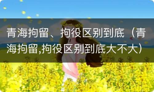 青海拘留、拘役区别到底（青海拘留,拘役区别到底大不大）