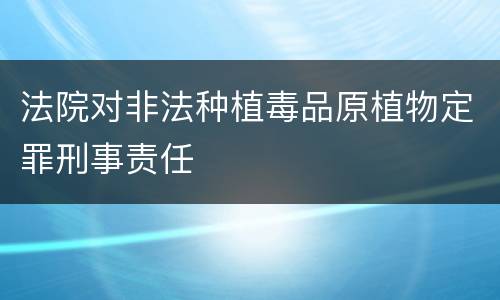 法院对非法种植毒品原植物定罪刑事责任