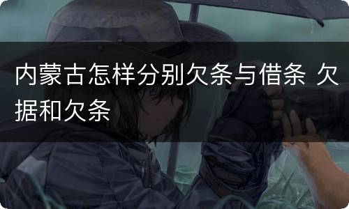 内蒙古怎样分别欠条与借条 欠据和欠条