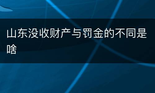 山东没收财产与罚金的不同是啥