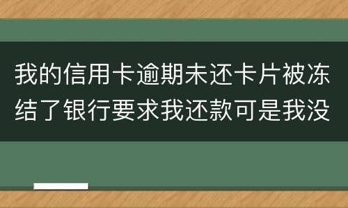 我的信用卡逾期未还卡片被冻结了银行要求我还款可是我没有偿还能力银行会起诉我吗