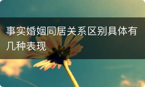 事实婚姻同居关系区别具体有几种表现