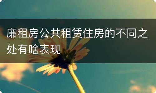 廉租房公共租赁住房的不同之处有啥表现