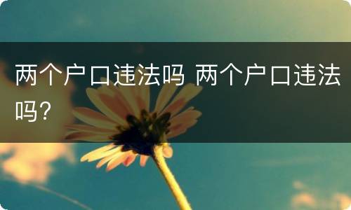 两个户口违法吗 两个户口违法吗?