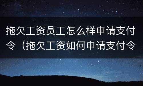 拖欠工资员工怎么样申请支付令（拖欠工资如何申请支付令）