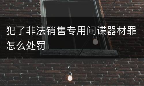 犯了非法销售专用间谍器材罪怎么处罚