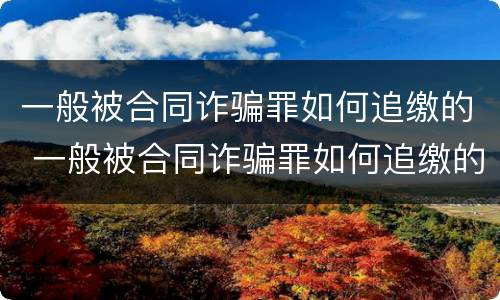 一般被合同诈骗罪如何追缴的 一般被合同诈骗罪如何追缴的案例