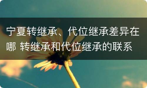 宁夏转继承、代位继承差异在哪 转继承和代位继承的联系