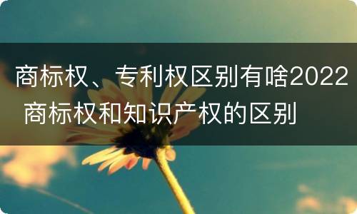 商标权、专利权区别有啥2022 商标权和知识产权的区别