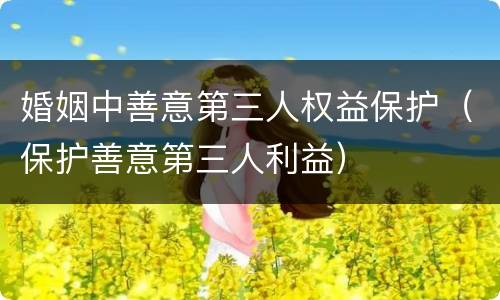 婚姻中善意第三人权益保护（保护善意第三人利益）