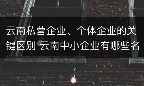 云南私营企业、个体企业的关键区别 云南中小企业有哪些名称是什么