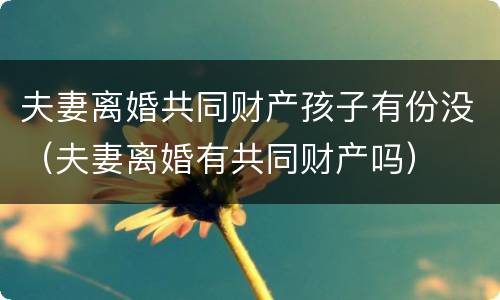 夫妻离婚共同财产孩子有份没（夫妻离婚有共同财产吗）