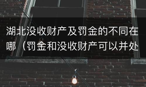 湖北没收财产及罚金的不同在哪（罚金和没收财产可以并处吗）