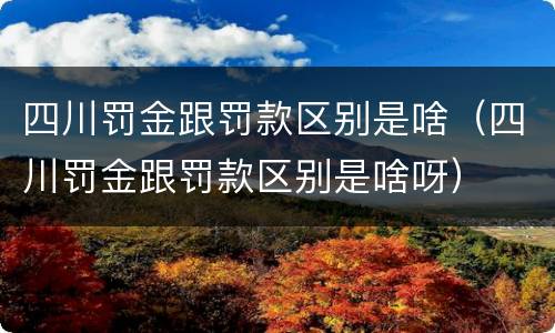 四川罚金跟罚款区别是啥（四川罚金跟罚款区别是啥呀）