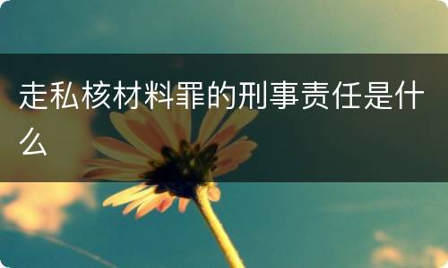 走私核材料罪的刑事责任是什么